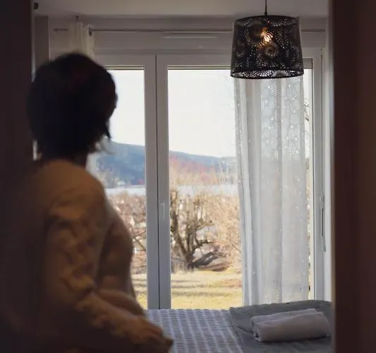 Le Jardin Idyllique - Sauna - Vue Gérardmer